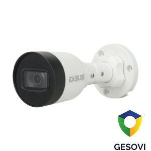 Camera IP DS2230SFIP-S2
